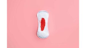 Where Does Menstrual Blood Come From