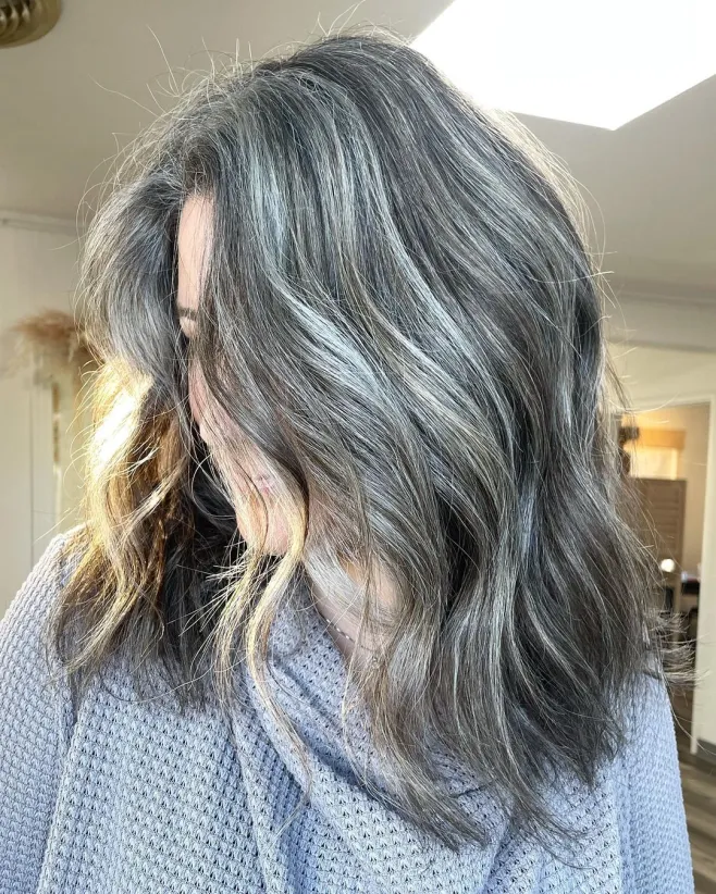 The Graceful Silver Fox Transition